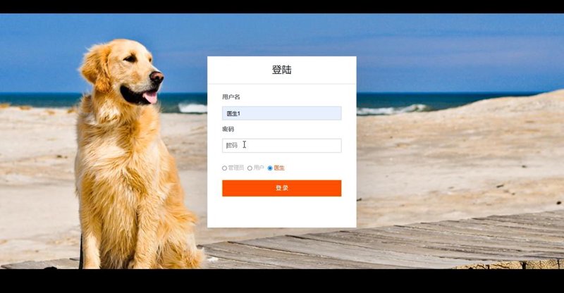 宠物电商系统：让经营更简单