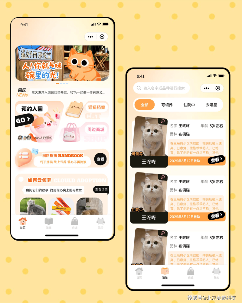 宠物APP开发